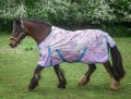 Gallop D/P Pegacorn 0g T/O